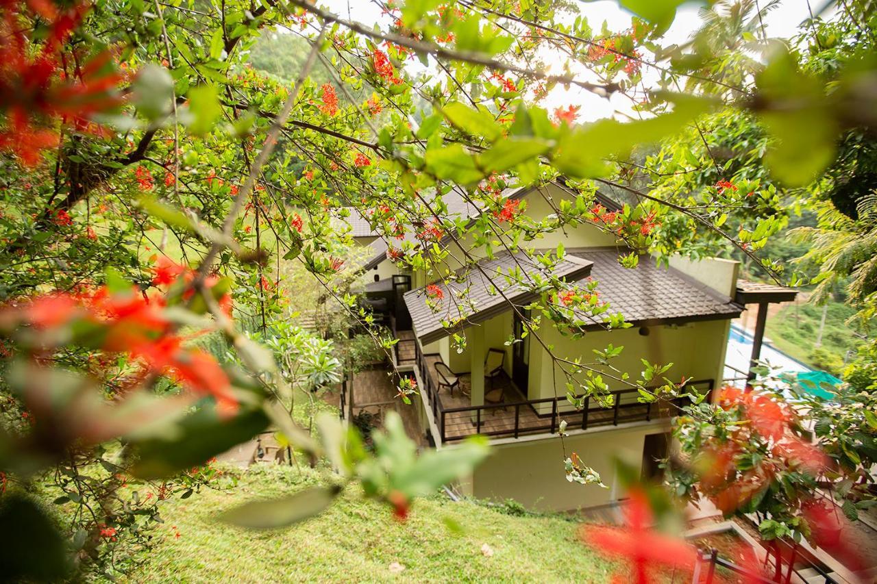 Karalliyadda Huluganga Ridge, Kandy מראה חיצוני תמונה